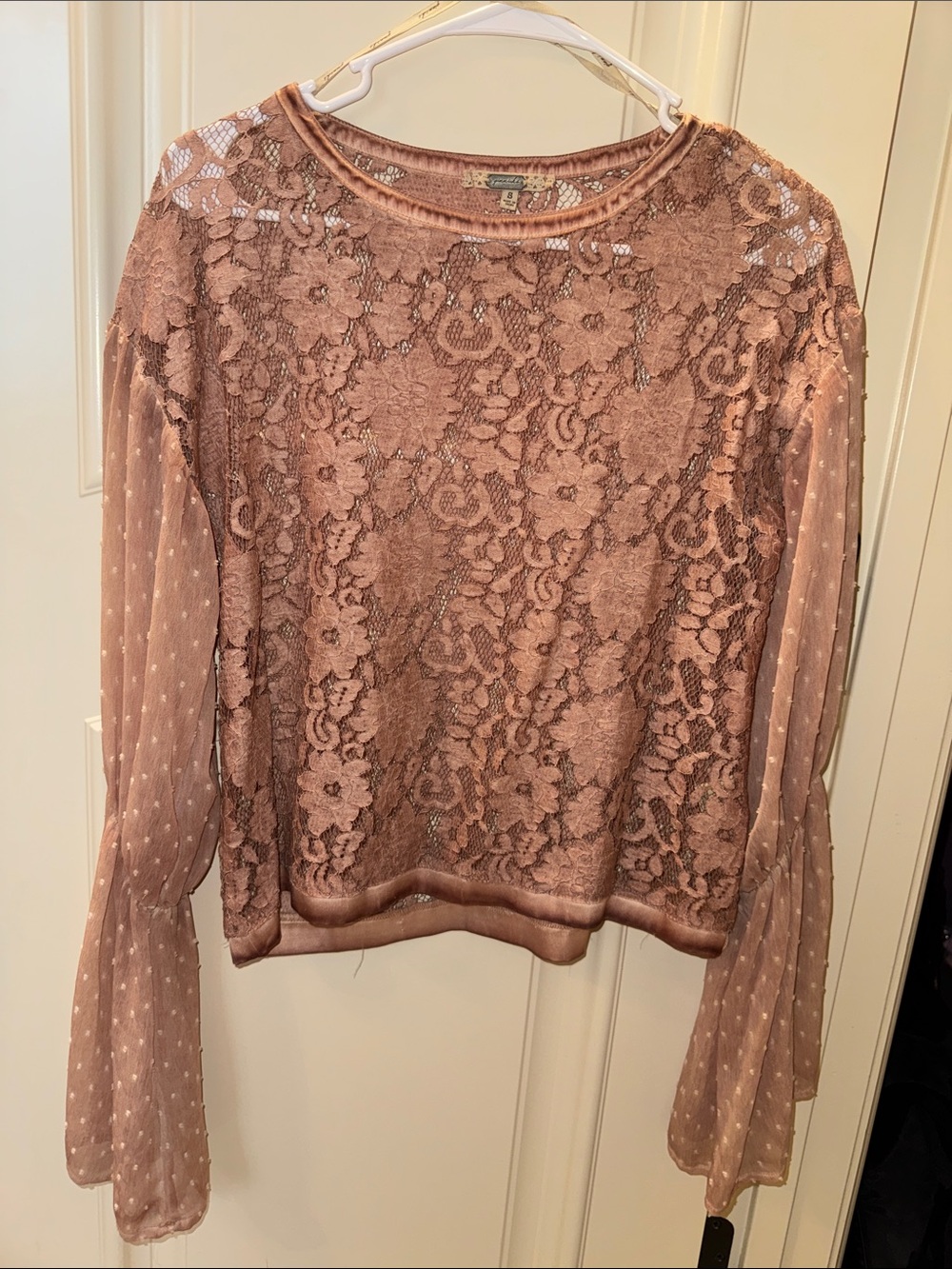 Free People Dusty Rose Lace & Sheer Dot Long Sleeve Top
